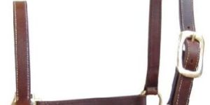 FANCY LEATHER HORSE HALTER