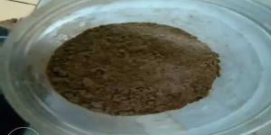Mango Seeds Coffee Powder