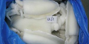 Frozen Cuttle Fish