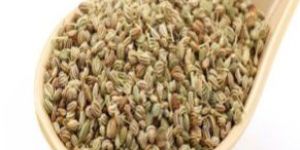 Ajwain Oil