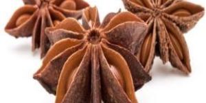 Anise Oil