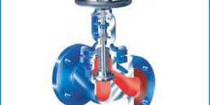 Valves Steam Accesries
