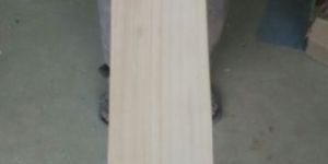 Kashmir Willow Bats
