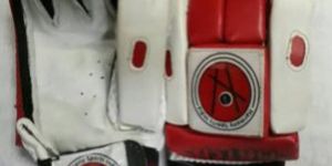 Match Batting Gloves