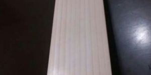 Plain English Willow Cricket Bats