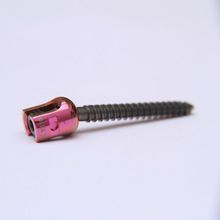 S.L.POLYAXIAL SCREW