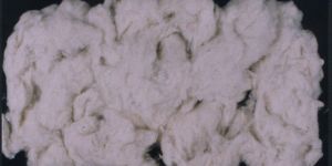 Cotton Waste