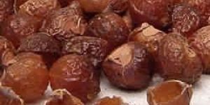 Soap Nut