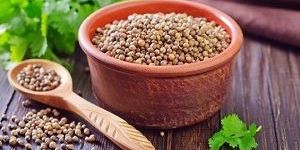 Coriander Powder