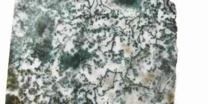 Tree Agate Slab Slice