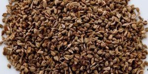 Brown Ajwain Seeds