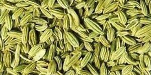 Green Fennel Seeds