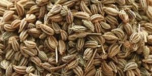 Natural Ajwain Seeds