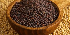Natural Mustard Seeds
