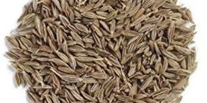 Pure Cumin Seeds