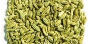 Pure Fennel Seeds