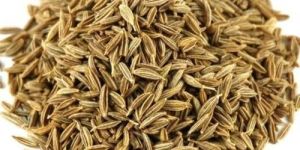 Quality Cumin Seeds