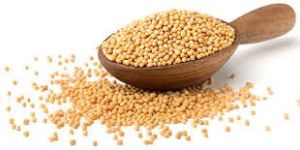 Yellow Mustard Seeds