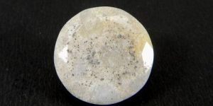 Fossil Coral 18mm Round Faceted Cut 19.15 Cts