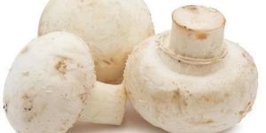 Organic Button Mushroom