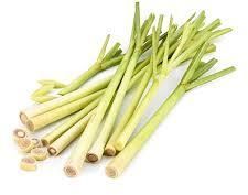 Organic Lemongrass