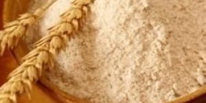 Organic Wheat Flour