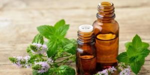 Peppermint Essential Oil