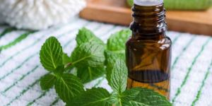 Peppermint Essential Oil