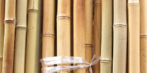 Natural Bamboo Pole