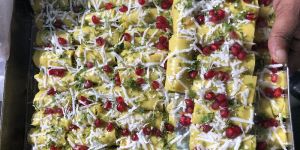 Frozen Khandvi Dhokla