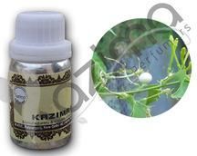 Raat Rani Attar - (Non-Alcoholic)