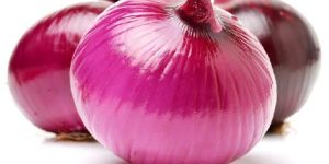 Onion
