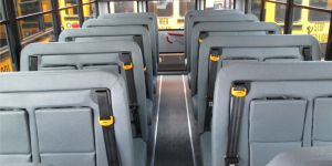 Seat Belts for School Buses