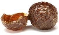 Soap Nut