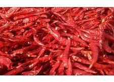 Organic Dried Red Chilli