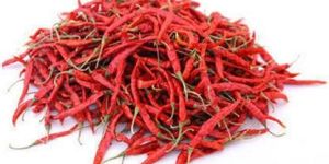 Organic Teja Dried Red Chilli