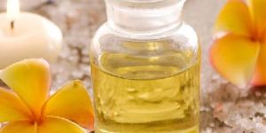 Frangipani Absolute Oil