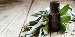Sage Essential Oil