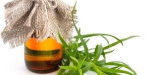 Tarragon Essential Oil