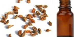 Tomar Seed Essential Oil
