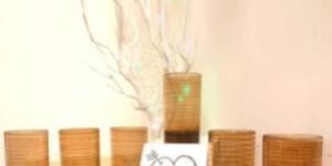 Unbreakable Juice Glasses