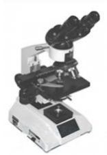 Binocular Microscope