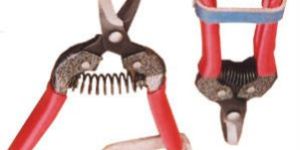 Fruit Snipping Secateur 15 Cm