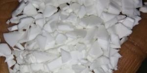 PPCP (NATURAL) Injection Mould