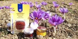 1 GM & 0.5 GM Blister Card Saffron Packet