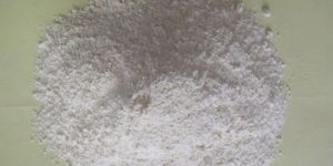 White Garlic Powder