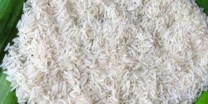 Long Grain Pusa Basmati Rice
