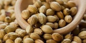 Coriander Seeds