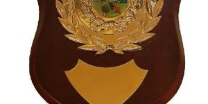 DESIGNER WOODEN TROPHY