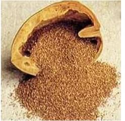 Apricot Shell Powder